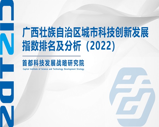 视频啊啊啊啊太爽使劲【成果发布】广西壮族自治区城市科技创新发展指数排名及分析（2022）